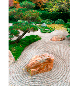    сад в японском стиле 